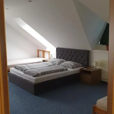 Privatunterkunft Veszprem Room