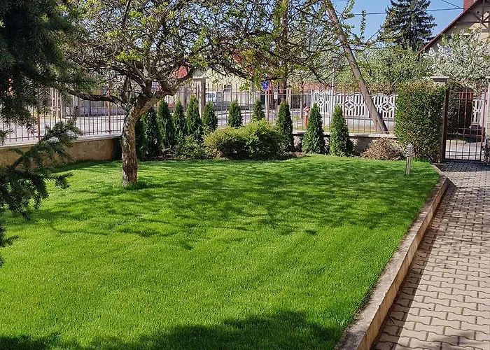 Homestay szállás Veszprém Room Veszprém